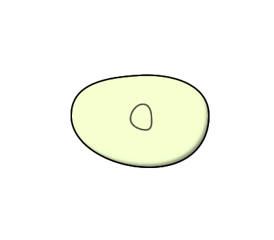 Cartoon of one cell dividing into two